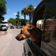 Image for article titled Driving for Steak in Rural Argentina
